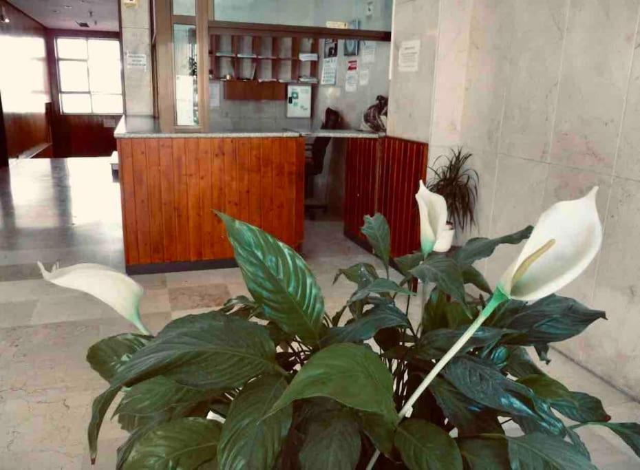 El Refugio Del Viajero Appartamento